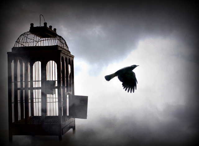 How To Overcome Your Biggest Fear