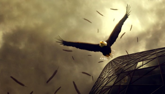 Leadership manifesto: 10 keys to living courageously